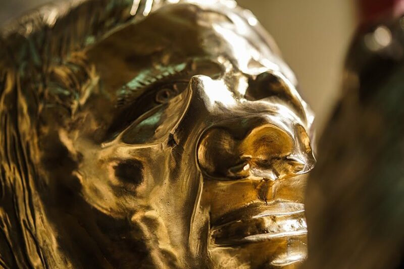 An extremely exotic flower that grows in the garden but does not belong to this world