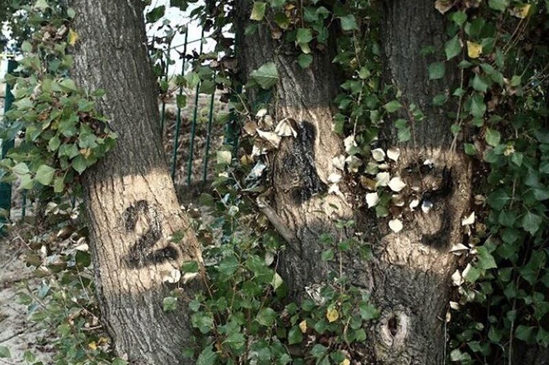 Lowest common denominator