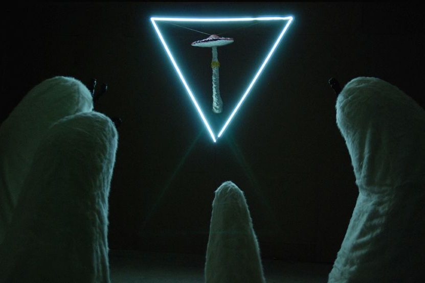 We Had the Same Dream