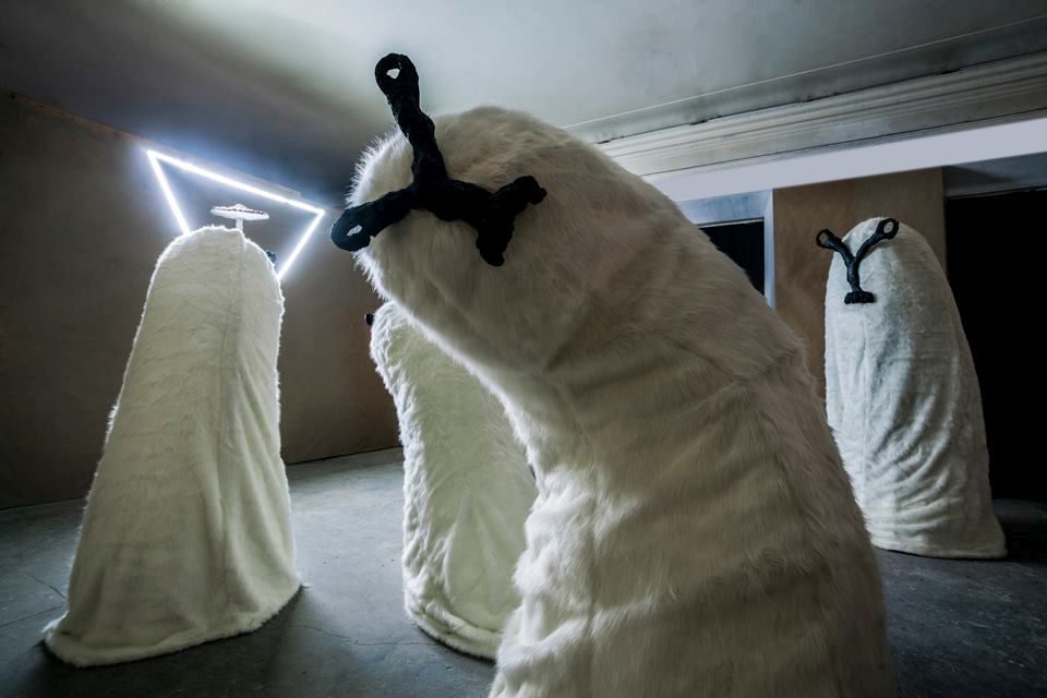 We Had the Same Dream